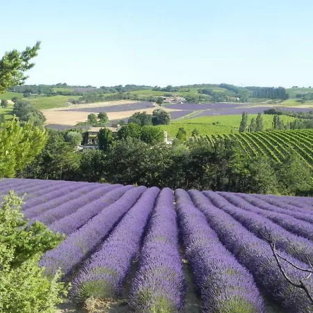 Le Relais De La Tour * Vinsobres